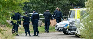 Noa kopplas in för att hitta försvunnen kvinna