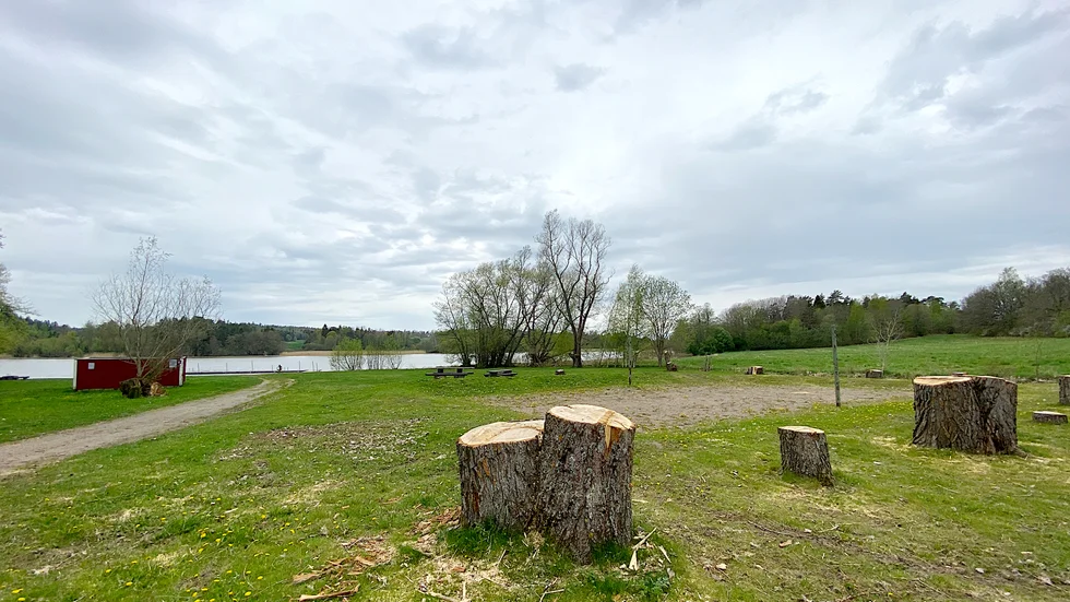 Det är tomt vid Alstabadet i Örsundsbro sedan de stora popplarna tagits ned. Flera av träden var ruttna i kärnarn och alla togs ned av säkerhetsskäl.