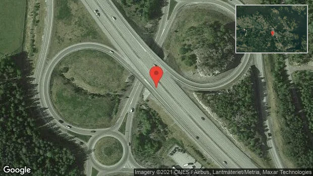 Rådjur på vägen på E20