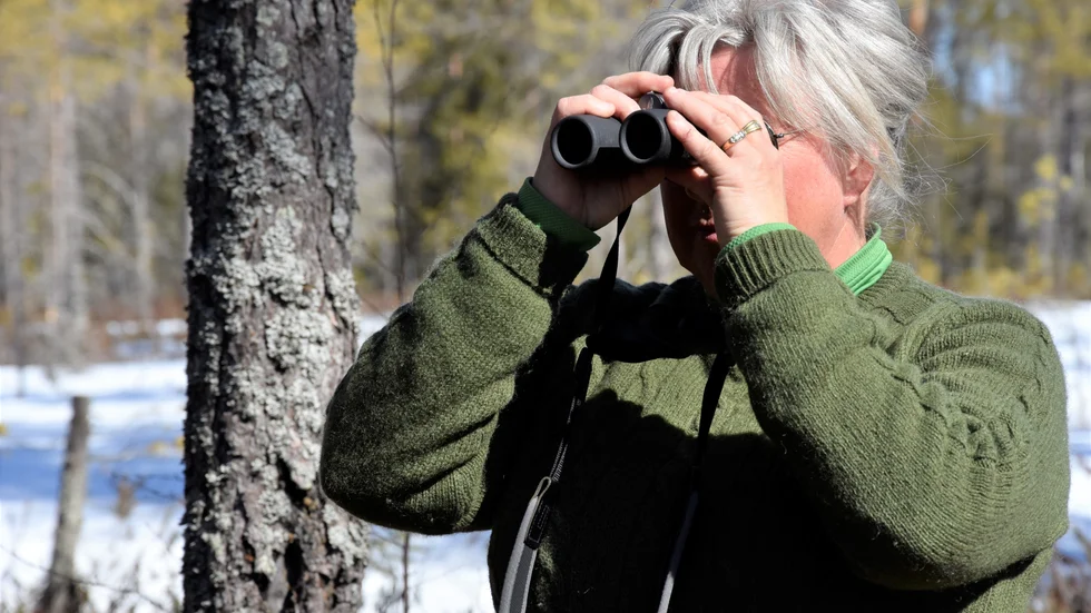 Birgitta Landberg, ordförande för Naturskyddsföreningen i Kalix, hoppas kunna väcka ett intresse för naturen hos folk genom att ordna exempelvis fågelskådning.