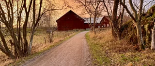 Viktiga naturområden i Malma by och ängar hotas av nya bostäder