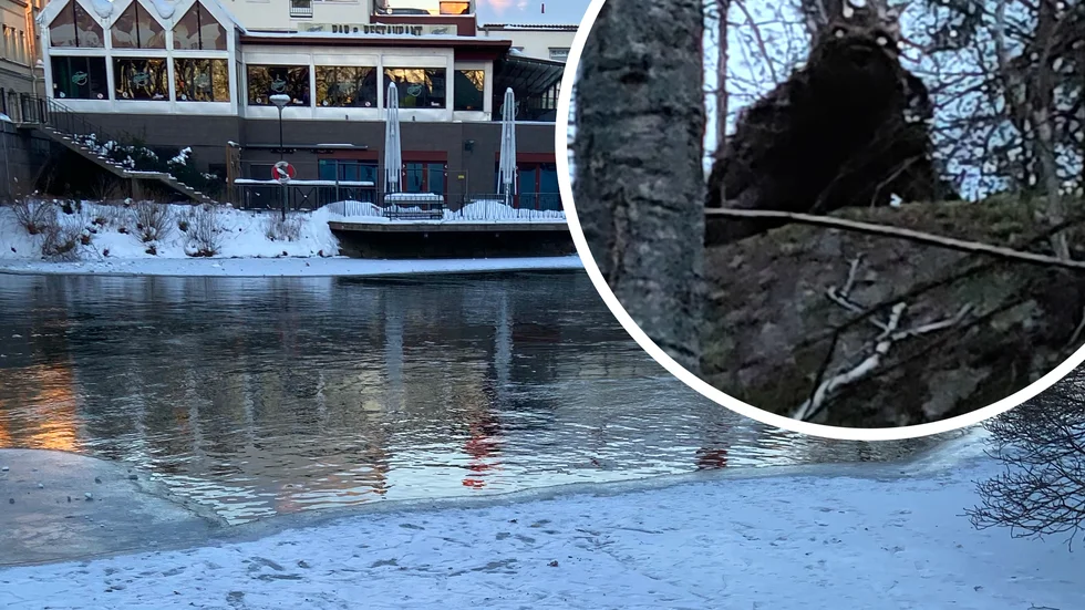 Temat är "Bland vättar och väsen" när sju konstnärer ställer ut längst Nyköpingsån.