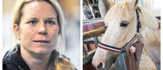 Ridlärare om hästviruset: "Hästarna kan bli förlamade"