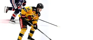 Centern slapp vikariera: "Jag var lite stand-in"
