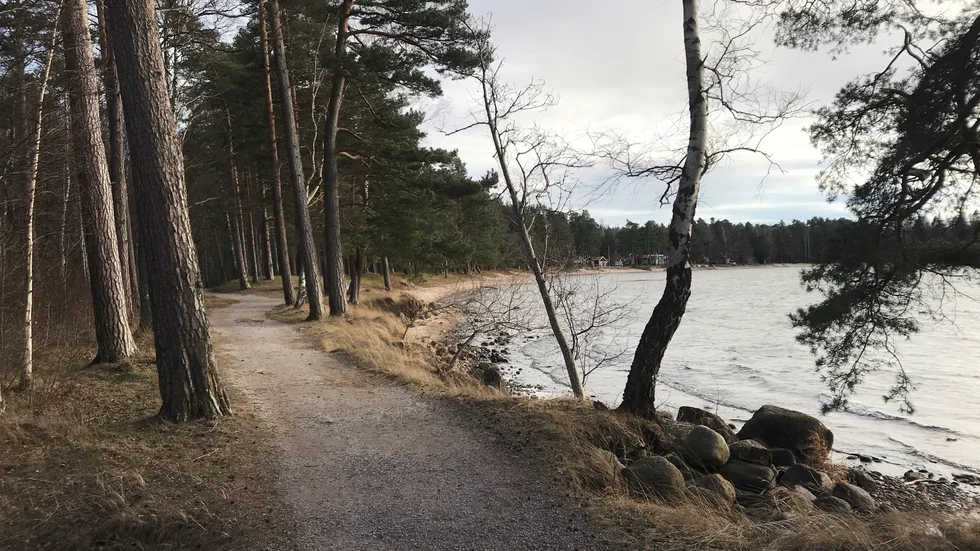En fin bit av Motala som träningsarena. Stigen slingrar sig längs Pariserviken, sedan in i skogen och så kommer man ut längs vatten på flera sidor på den fina Råssnäsudden. En naturplats som andas aktivitet.