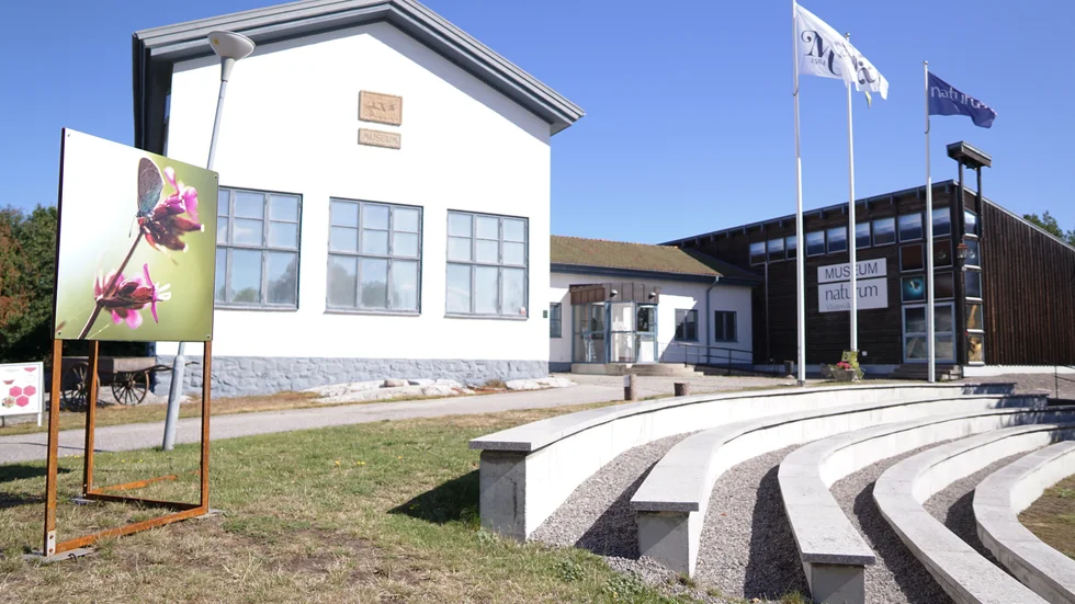 Västerviks museum kan upptas i kretsen av kulturinstitutioner med regional status.