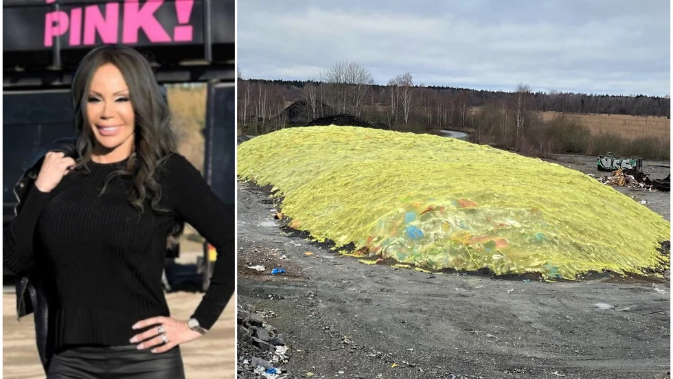 Bella Nilsson kallade sig själv för "Queen of Trash" och frontade egna företaget NMT Think Pink i olika annonser.