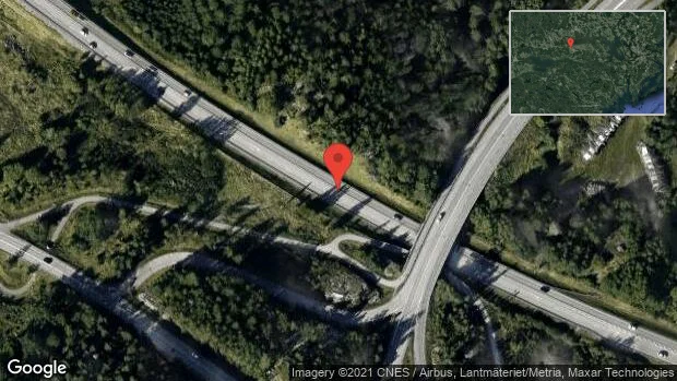 Älg på vägen på E20