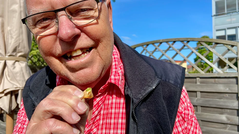 Lars Englund, Oxelösund, har hittat ovanligt äpple. "Det fanns en grodd i äpplet till ett nytt äppelträd", säger han.