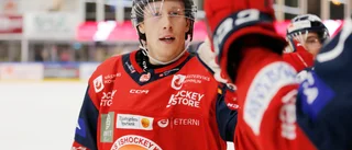 VIK fick sin revansch – vann mot AIK efter grym period • Här är Sportens betyg från segermatchen
