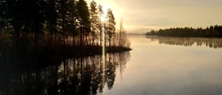 Läsarbilden: Luleälv i stämningsljus