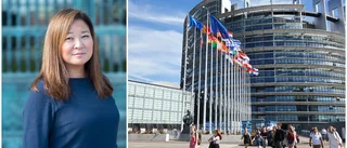 EU ska inte styra svenska löner 
