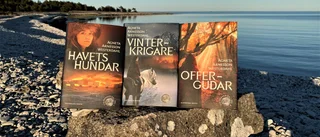 Tredje delen i Agnetas vikingaserie