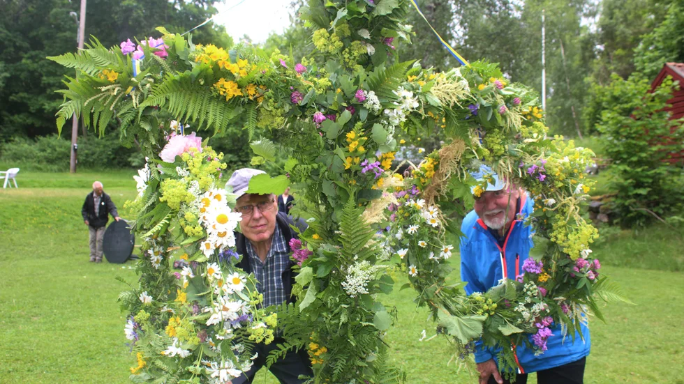 Lars Hammarlund och Bengt-Olov Nilsson kollar ut genom midsommarstångens ringar i Lunddalen.