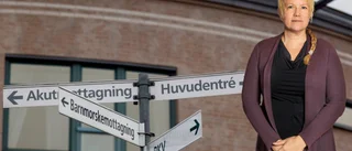 Det privata växer främst där det offentliga fallerar