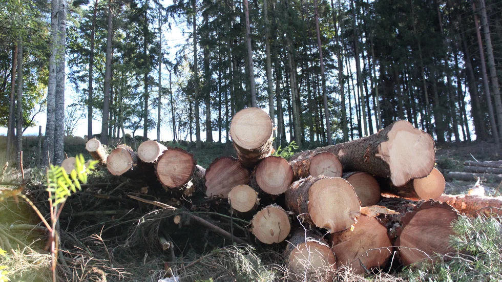 Länsstyrelsen påpekar att det som har allra störst effekt när det gäller att minska klimatpåverkan vid byggnationer är att återvända och återbruka material från redan befintliga byggnader som ska rivas – men den nya träbyggnadsstrategin nämner ingenting om detta. 