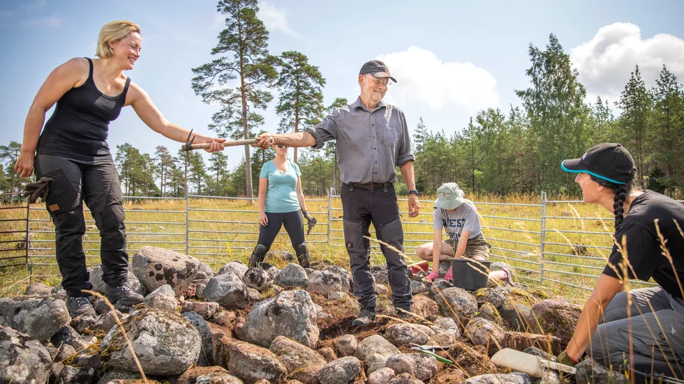 Arkeologen Dan Carlsson (mitten) har arrangerat sommarkurser i över 30 år och är för fjärde sommaren i rad vid Gudings slott i Eke. Här omgiven av fyra internationella kursdeltagare som gräver i stenrösena.