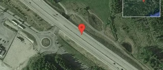 Älg på vägen på E20