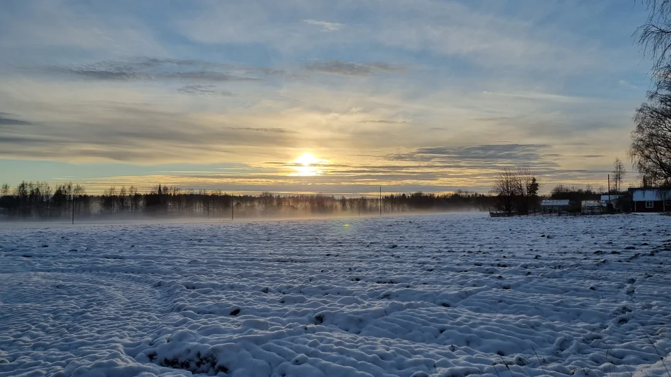 Anki Näckstam bjuder på en fin läsarbild.