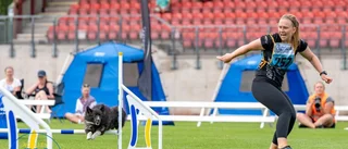 SM-guld till Luleå – med hårfin marginal