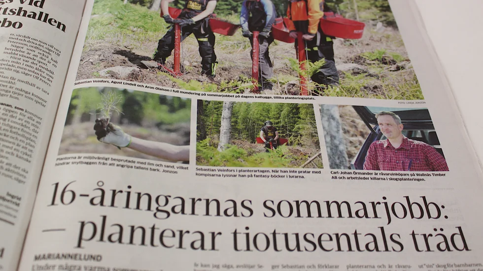 Insändarskribenten blev glad när han läste artikeln om de tre 16-åringarna Sebastian Veinfors, Agust Lindell och Aron Olaison, som jobbar med skogsplantering. Han tror att beröm föder lusten till sommarjobb.