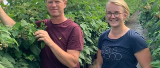 De har utökat med ännu ett bär: "Nu känns det komplett"