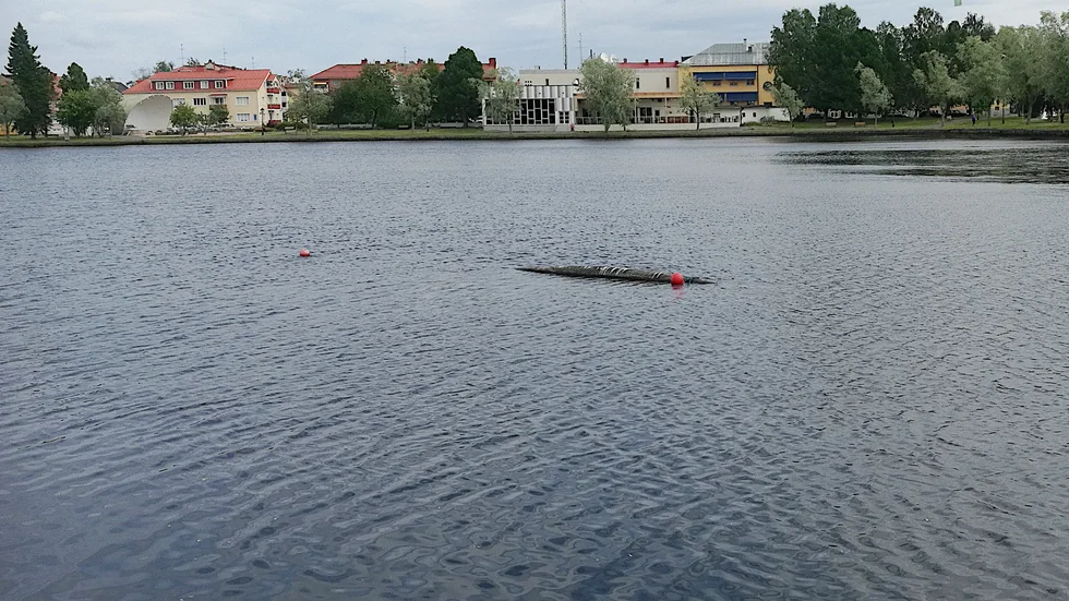 Ingen u-båt i sikte, det är bara avloppsledningen som flutit upp igen i Bodträsket.