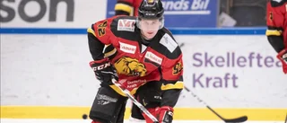 Hockeytvåan: Jordskredsseger för Lejon – Norsjö tappade ledningen på hemmais