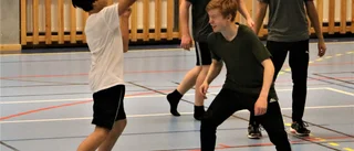 Dyster utblick för Piteå Basket – saknar tränare