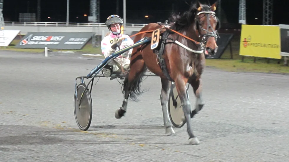 Gunnel Fredriksson bjöd upp till Lets Dance-skräll i V64-3 på Bodentravet