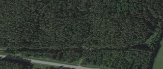 Ny ägare till gård i Boden