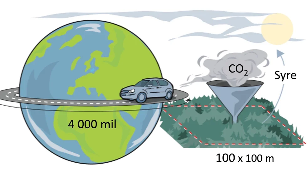 En hektar välskött norrbottnisk skogsmark suger varje sommar upp lika mycket koldioxid från atmosfären som en dieselbil släpper ut vid körning jorden runt (4.000 mil). Länsstyrelsen nya reservat på 82 kvadratkilometer innebär i framtiden att utsläpp från mer än 8 000 jorden-runt-varv bidrar till ökning av växthuseffekten varje år. 