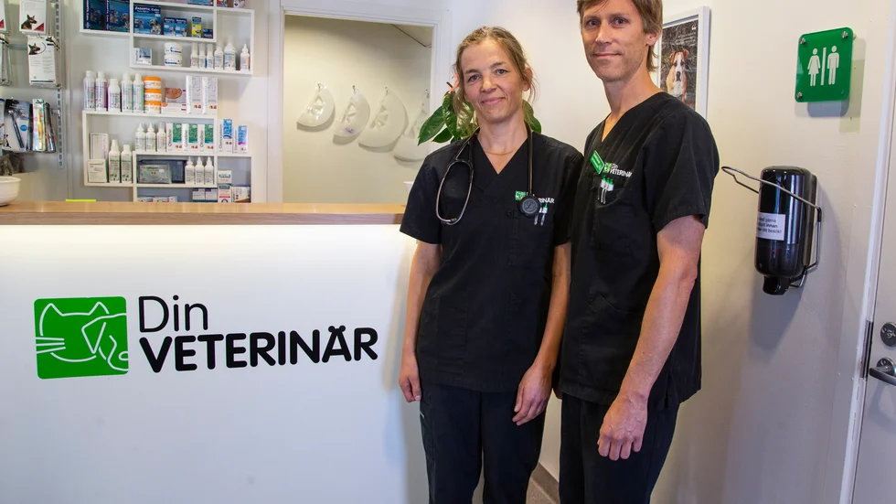Bristen på veterinärer skapar brist på akuttider och stängda djursjukhus i Sverige. Petra Karved driver Din Veterinär i Piteå tillsammans med Daniel Karved och säger att svåra arbetsförhållanden och stress gör att många väljer att lämna yrket.