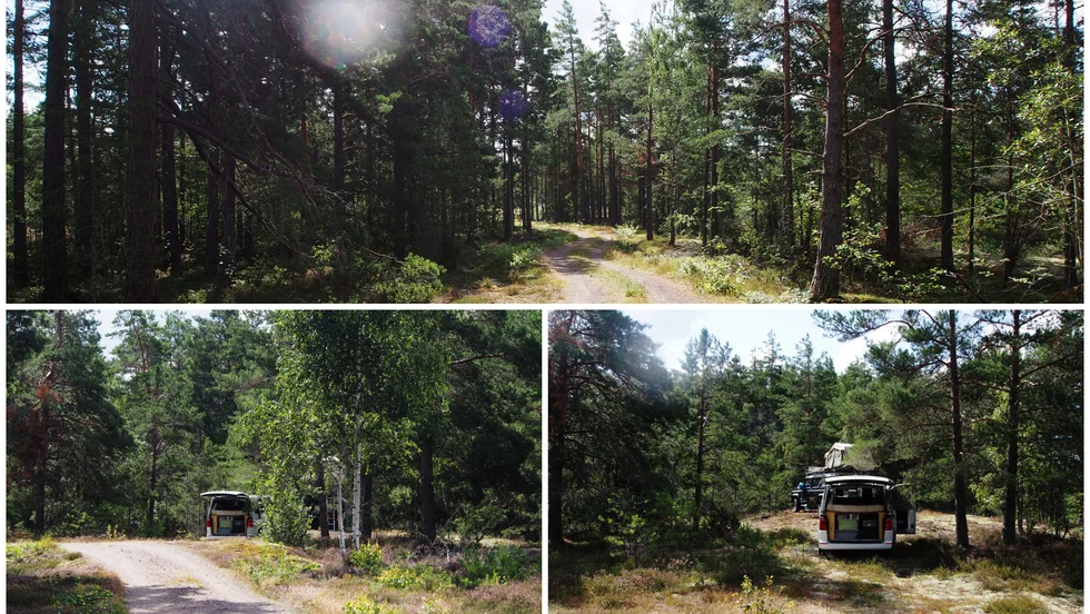 Terrängkörningslagen gör det olagligt att köra in i terräng, utom i vissa undantagsfall.