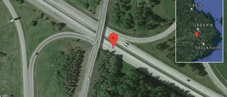 Rådjur på vägen på E18