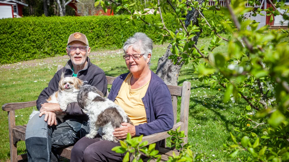 Tommy och Margareta Bäcklund är tillbaka på Gotland efter många år på fastlandet. I familjen ingår även vovvarna Bill och Bull.