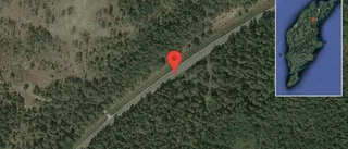Ko på vägen på väg 147