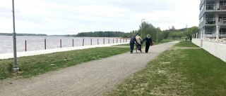 Populärt med cykelskola för utrikesfödda