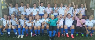 DM-Guld till Storfors AIK F-00