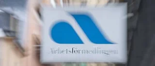 Orimliga villkor för politikerna