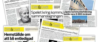 Politisk veteran om storkommunen