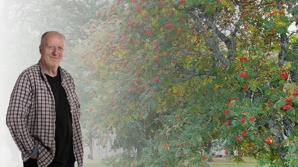 ”Några dagar kvar till valet och vem jag än pratar med så säger de att de ännu inte bestämt sig. Själv är jag bara helt säker på vem jag inte ska ge min röst. Det var lätt”, skriver Bernt ”Bison” Nilsson i sin krönika.