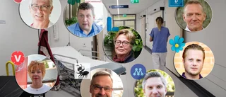 Här är partiernas viktigaste valfrågor i regionen