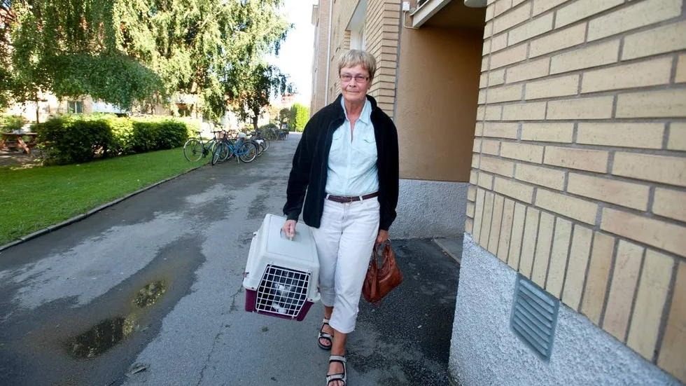 På väg hem. På onsdagseftermiddagen kom Rut Andersson till Norrköping för att ta med sig katten hem till Nyköping.