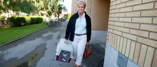 På väg hem efter att ha varit borta i fyra år