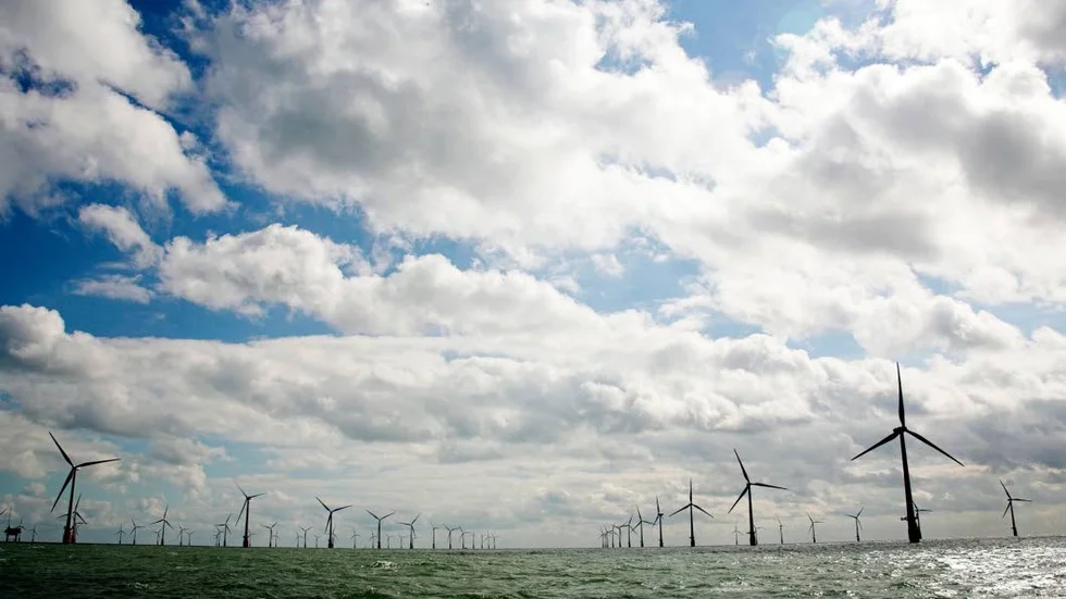 Vindkraft. Vindindustrin subventioneras allt mer ju mer elkonsumtionen sjunker.