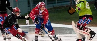 Faik jagar ny seger