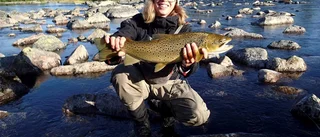 Inga glada laxar i Tornedalen