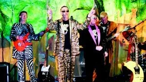 Electric Banana Band. Det är snudd på ett kultband som ställer sig på scenen i Kolmårdens djurpark 1 maj.
FOTO: SCANPIX