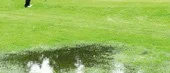 Svensk golfsommar 2003